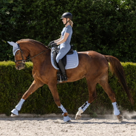 Комплект из трёх предметов: вальтрап, уши, бинты