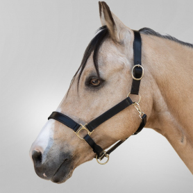 Неудоздок кожаный STAR