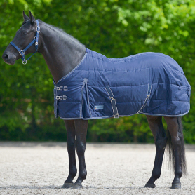 Попона денниковая Economic 100g